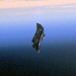 Black Knight Satellite